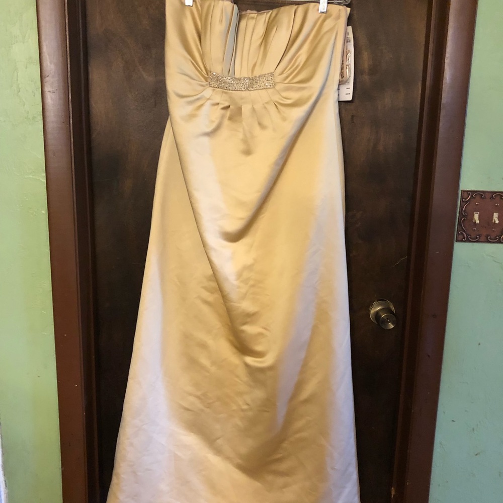 Priscilla of Boston Evening Gown